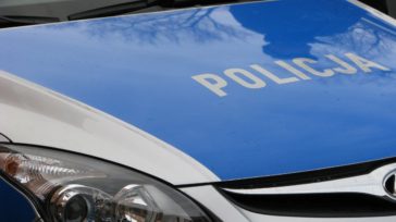 Walentynkowy pirat drogowy