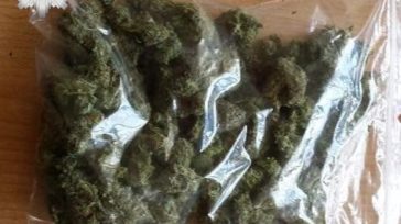 Marihuana u 33-latka