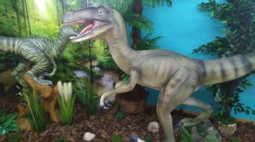 Kolejny dinozaur w łukowskim muzeum